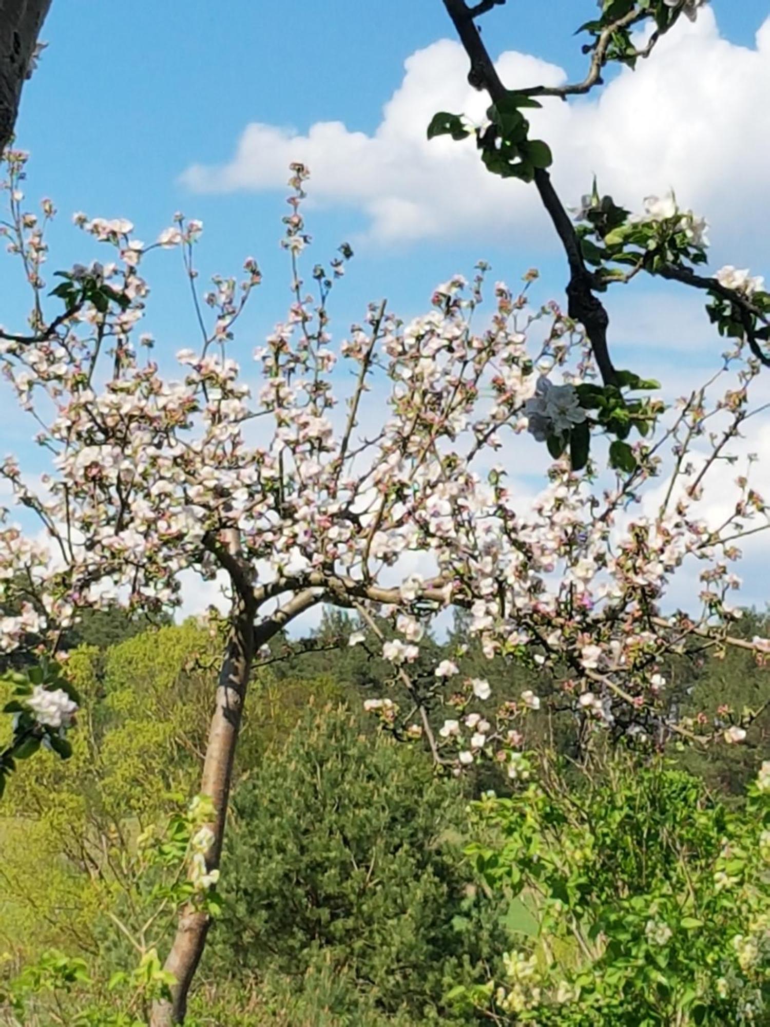 Ferienlandhaus Zempow Zewnętrze zdjęcie