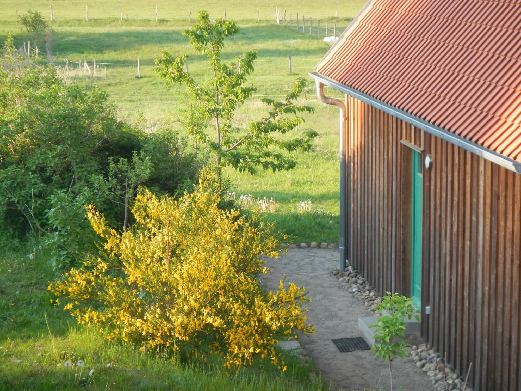 Ferienlandhaus Zempow Zewnętrze zdjęcie