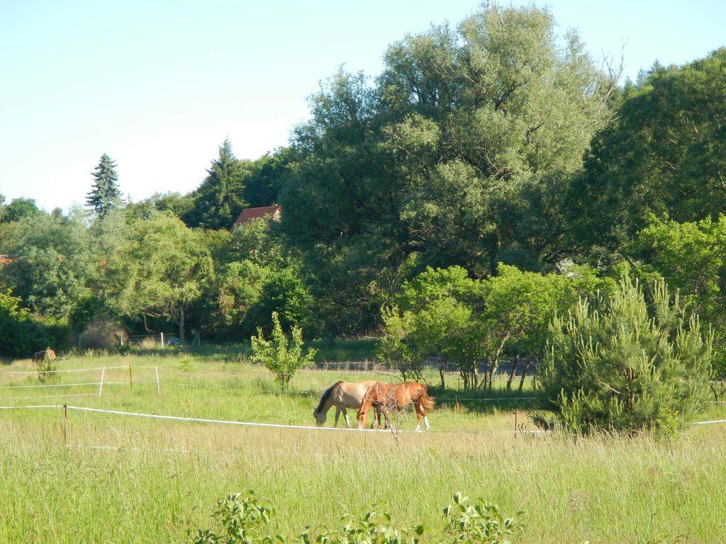 Ferienlandhaus Zempow Zewnętrze zdjęcie