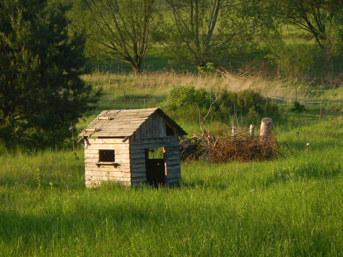 Ferienlandhaus Zempow Zewnętrze zdjęcie